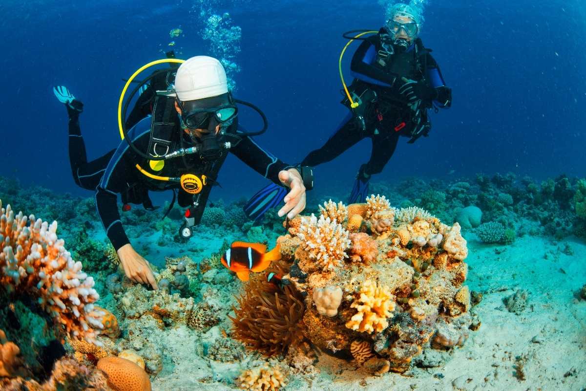 Bodrum Diving Tour