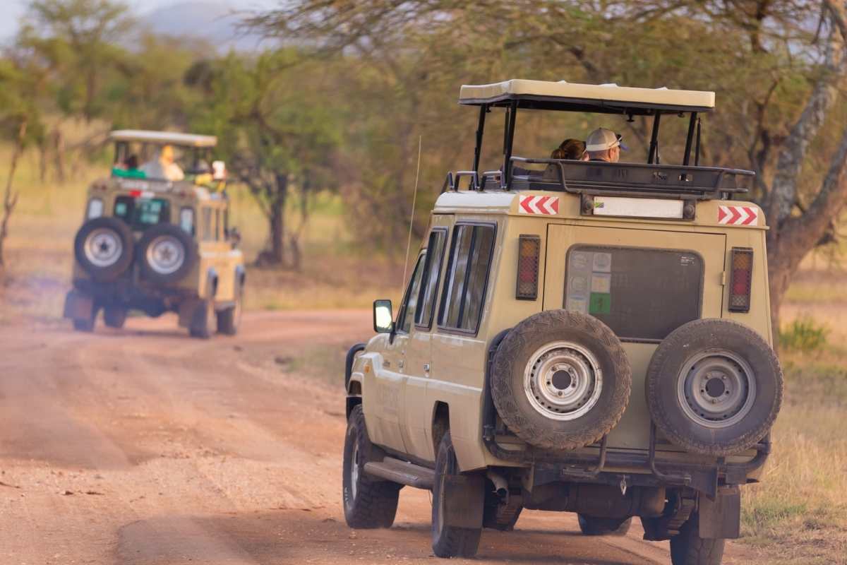 Full-Day Jeep Safari from Bodrum