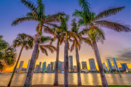 Miami Tour Best Island for Vacation