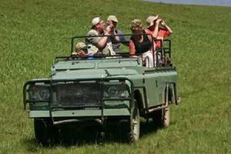 Bodrum ATV Safari