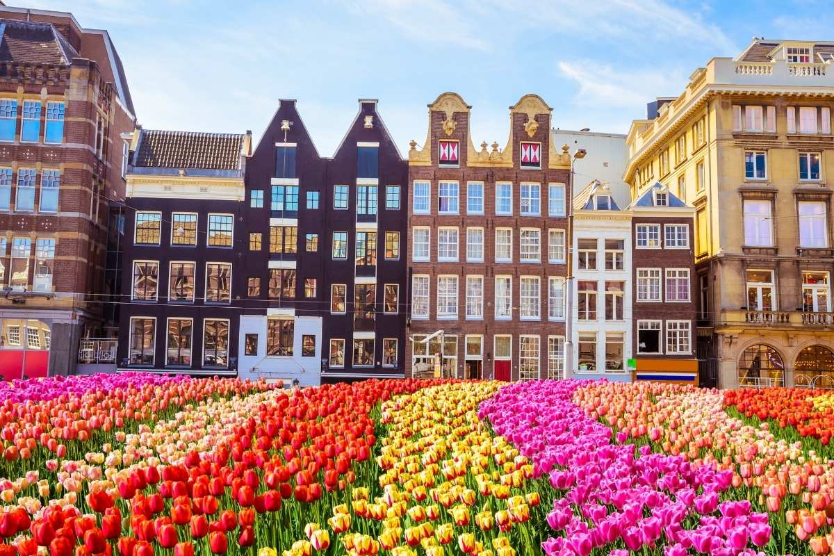 Amesterdam tour with pegasus airlines